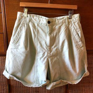 Everlane Tourist Short Ice Blue